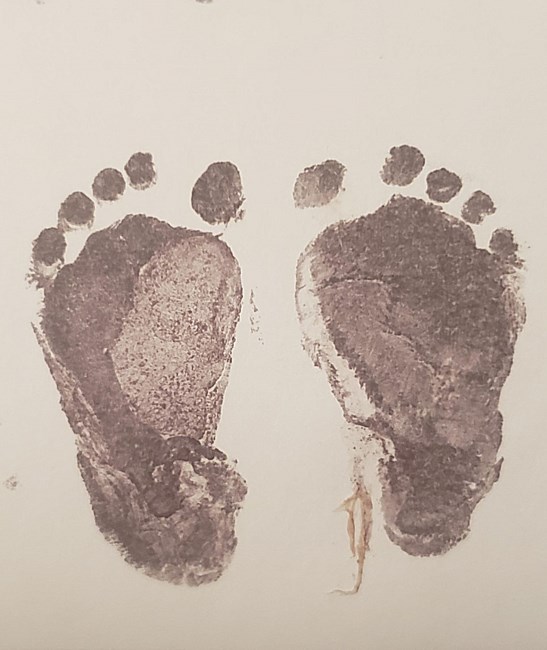 Nécrologie de Abigail Faith Gilmore