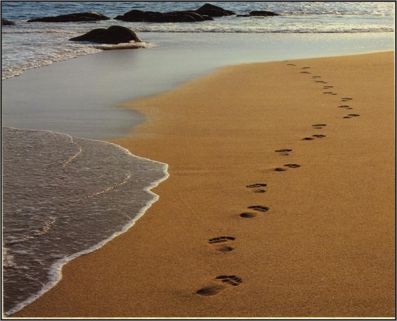 Obituary of Janet Cameron Armstrong