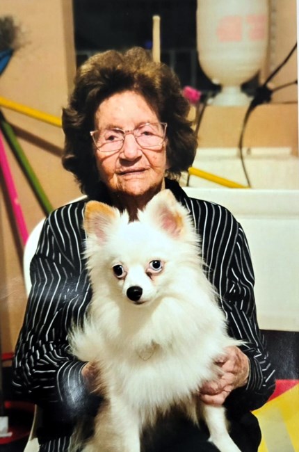 Obituary of Amada Rosa López Camejo