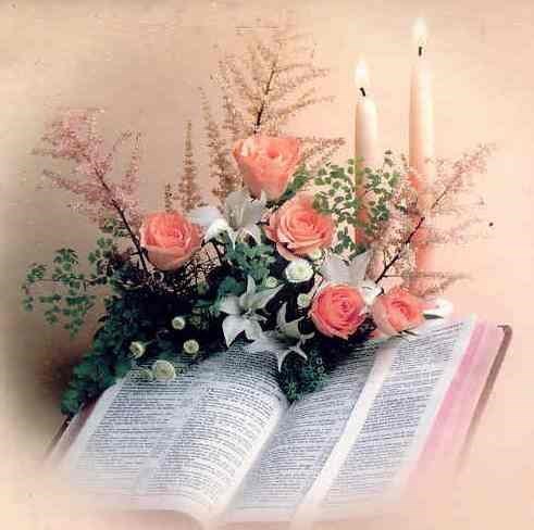 Obituary of Mary Catherine Cook