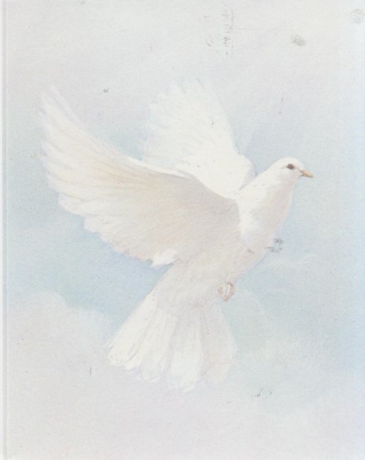 Obituary of Callahan Christian Kaczowski