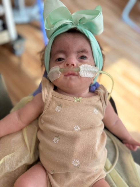 Obituary of Lilly Ann Gutierrez