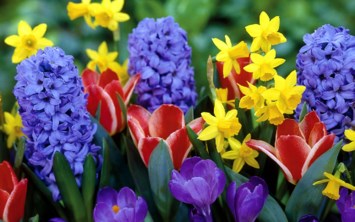 Obituary of Ruby Turner Musick