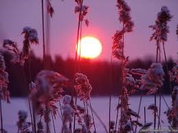 Obituary of Robert Elliott