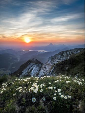 Obituary of Melva Jean Hartfield