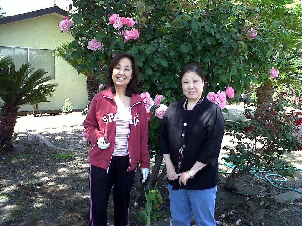 Obituary of Joni Kay Yamamoto