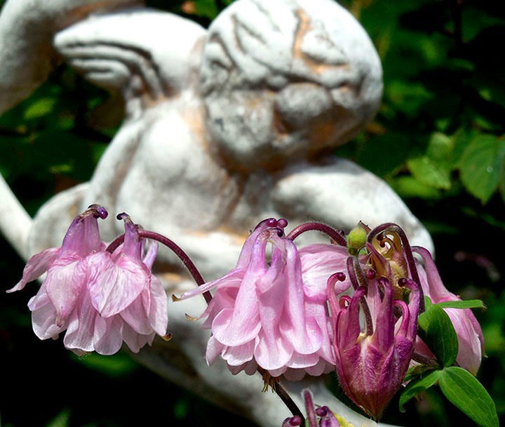 Obituary of Ms. Dorothy Jean Graham