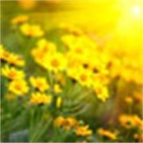 Obituary of Betty Jo Fox