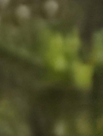 Brian Scott Johnson Obituary - Charlotte, NC