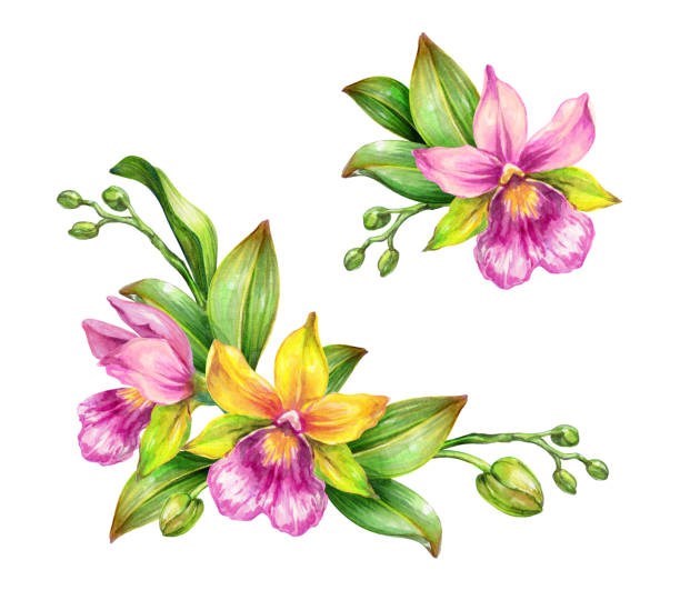 Obituary of Nancy Anne Miller