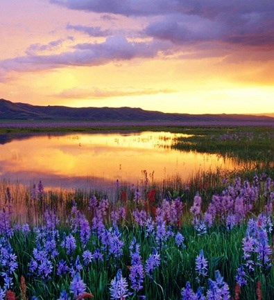 Obituary of Agnes Ann Mike