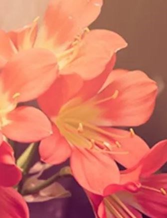 Obituary of Kathleen J Aiken