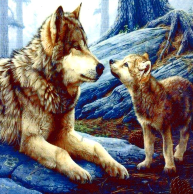 Obituary of Steven A. Macie