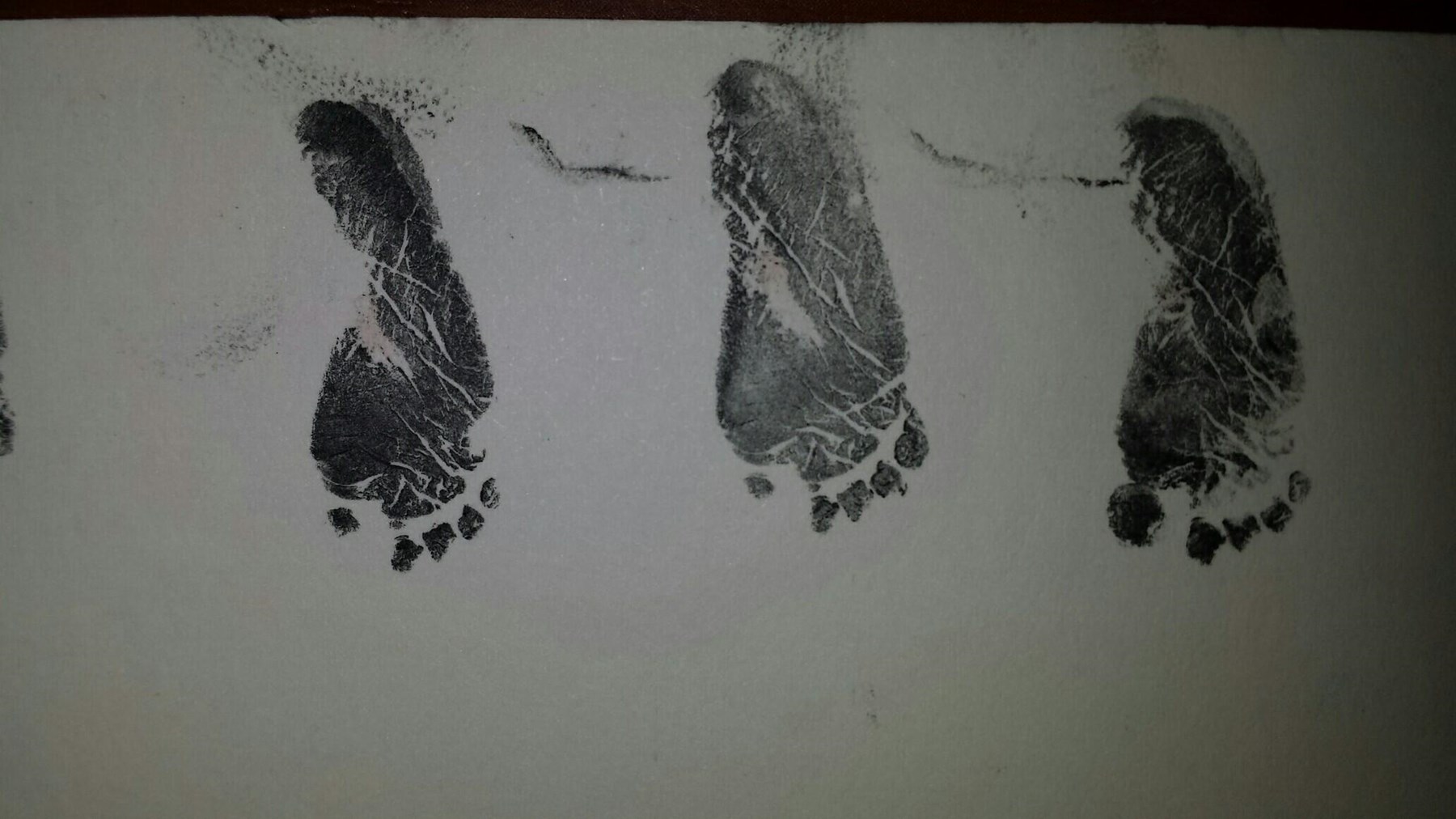 Obituary of Samantha Ryan Glenn