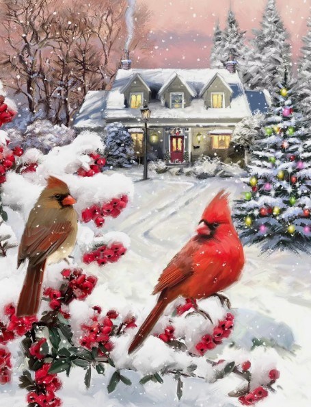 Obituary of Steve Hayes