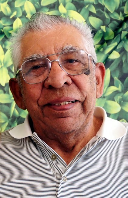 Obituary of Alfonso O. Singh