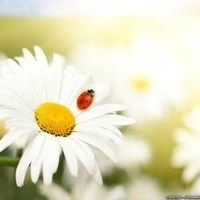 Obituary of Mary Hendrix