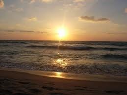 Obituary of Cindy Campbell