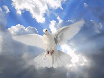 Obituario de Carmen Noya Monagas