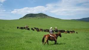 Obituary of Gaspar Stepanian