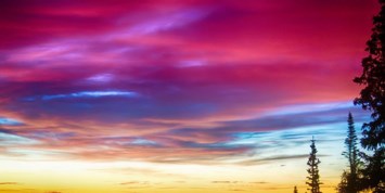 Obituary of Teresa Ranae Dykema