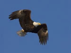 Obituary of James Morley