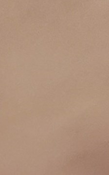 Dinka Orlic Obituary Flushing, NY
