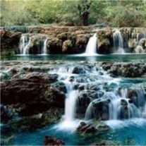 Obituary of Roy Brown Gill