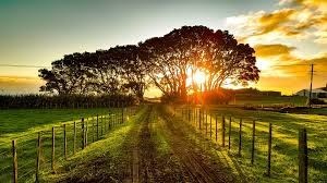 Avis de décès de George Matthew Espinoza III