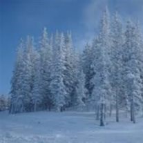 Avis de décès de Beverly Ann Bates