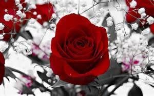 Obituary of Frances Townsend Cockrell