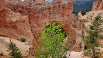 Obituary of Samuel Thomas Wick