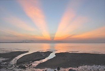 Obituary of Lois M. Hart