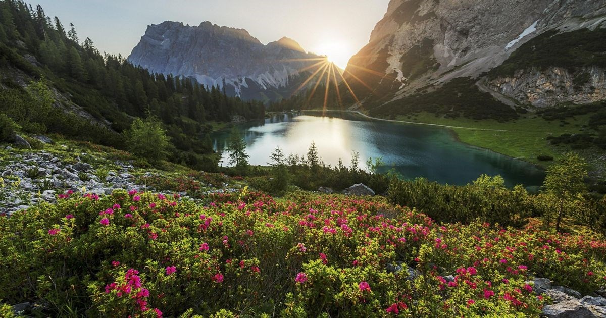 Obituary of Enzo Mauro Tosi