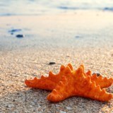 Obituary of Rose Barbarie Flynn