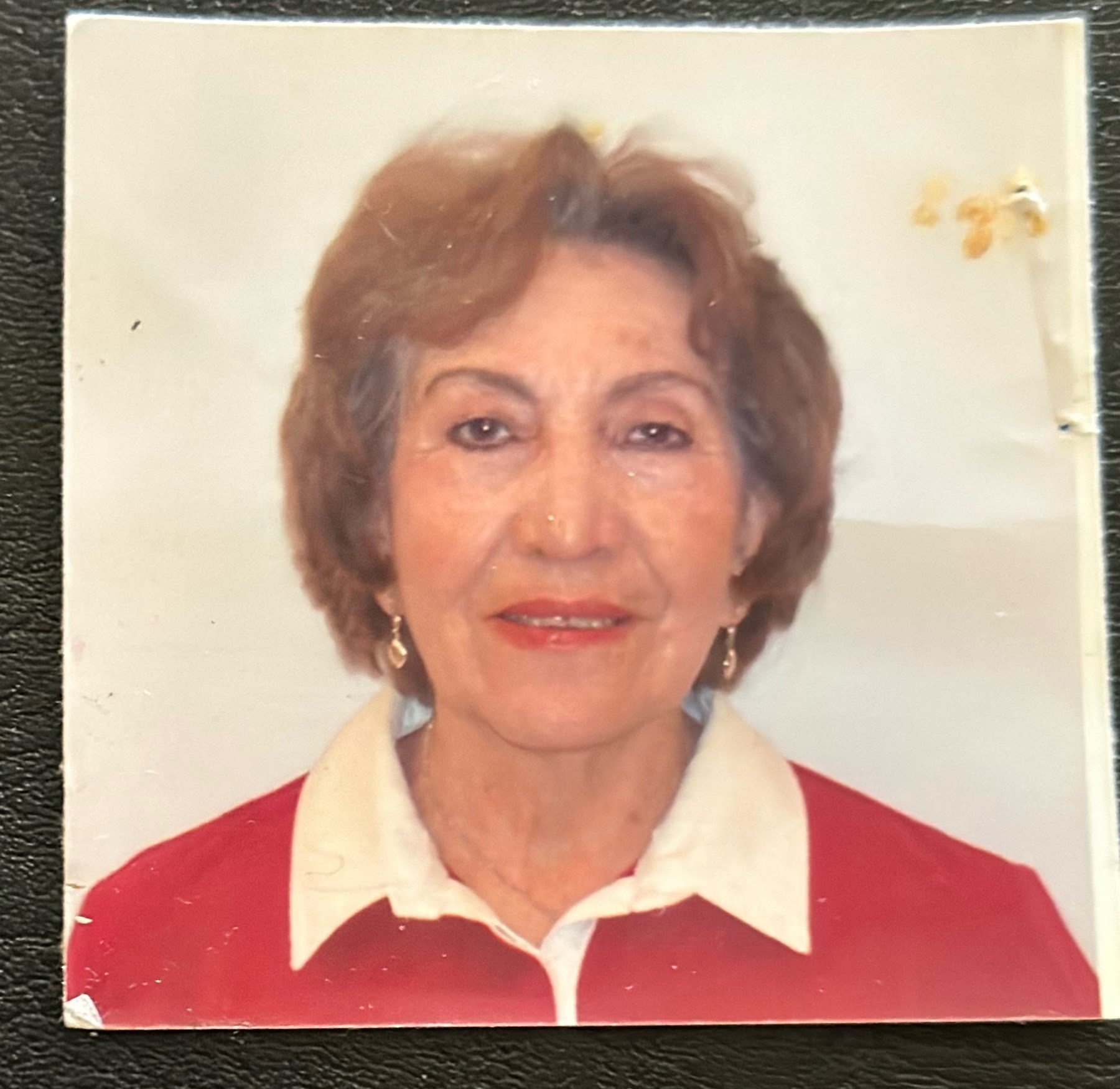 Obituary of Yolanda Holguin