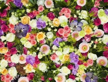 Obituary of Rachel Sue Guerrero