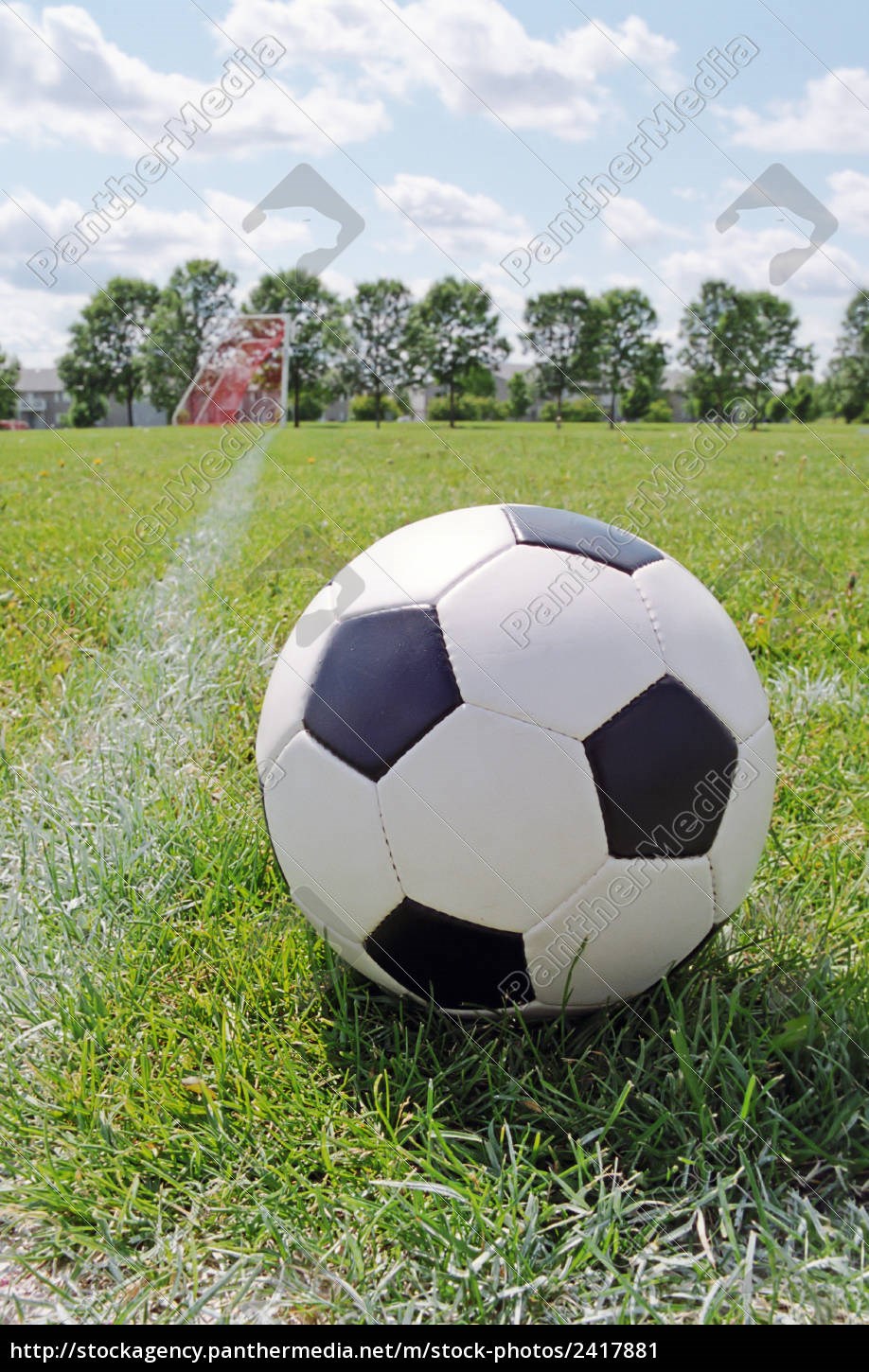 Obituary of Peyton Ainsley Johnson