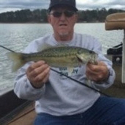 Obituary of Robert Bain