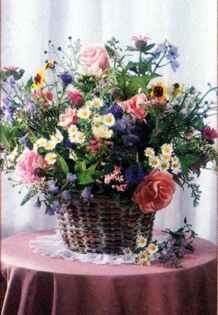 Obituary of Paula L. Carney