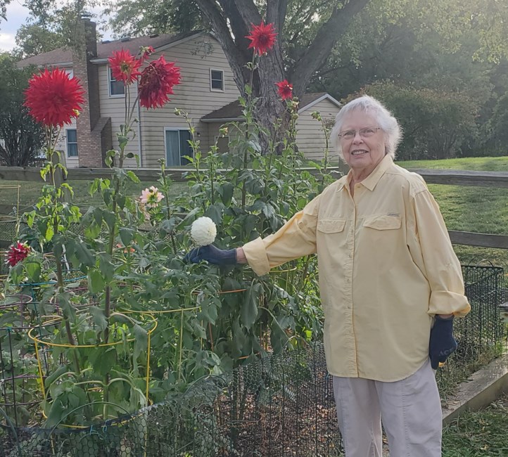 Obituary of Nancy Susan Edminster
