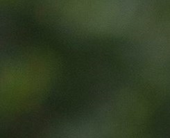 Colleen Cauble Obituary - Baton Rouge, LA