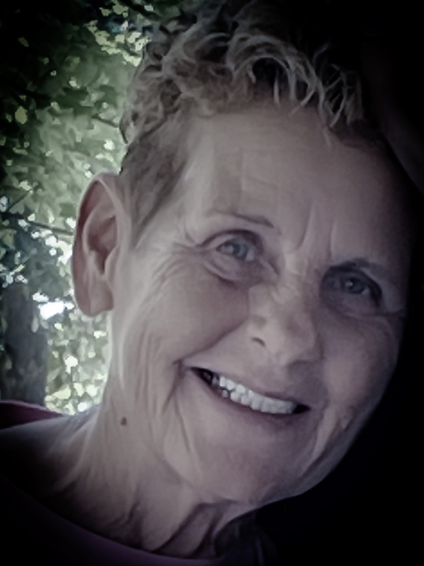 Obituary of Cindy E. Walraven