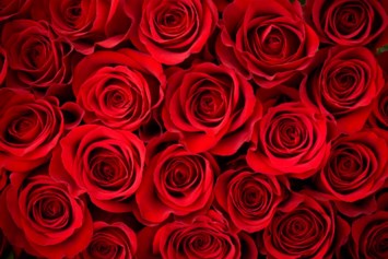 Obituary of Virginia Jessie Dugger