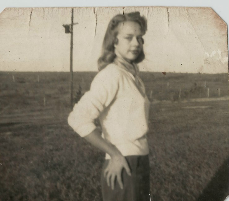 Obituary of Sylvia Gayle Doster