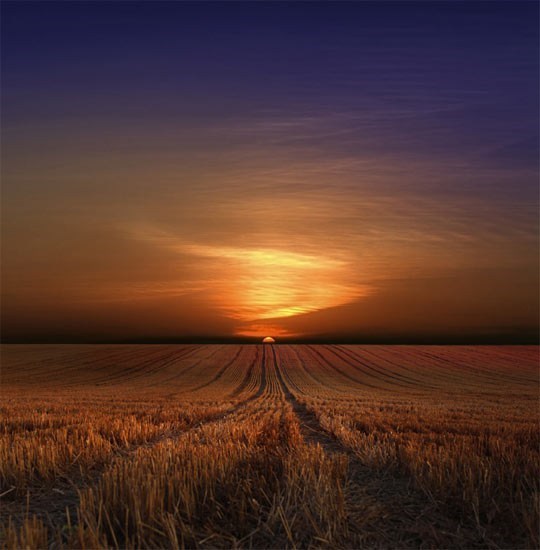 Obituary of James W Gilliam Jr.