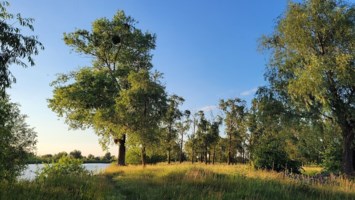 Obituary of Leonid Zheleznyak