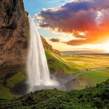 Obituario de Daniel Scott Thompson