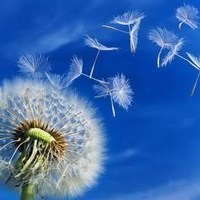Obituary of Laura "Mickey" Astin
