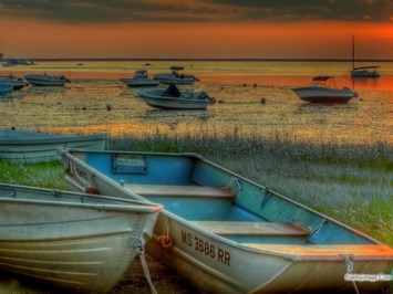 Obituary of Peter Stanford